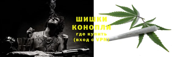 эйфоретик Заводоуковск