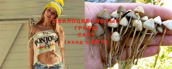 Альфа ПВП Зеленодольск