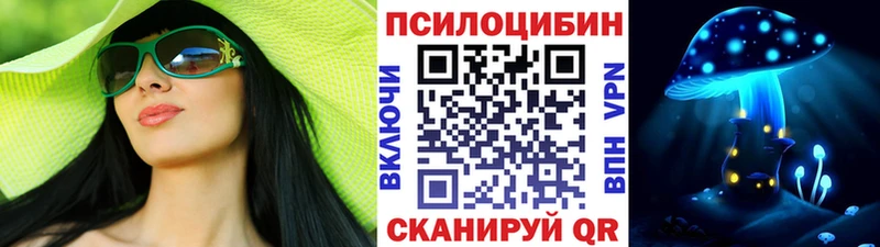Купить  Шумерля  Галлюциногенные грибы Psilocybe 